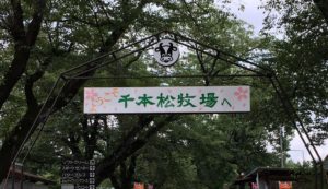 栃木県の千本松牧場はどうぶつとふれあうおすすめのスポット