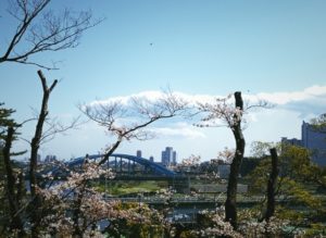 大田区の多摩川台公園は豊かな自然と歴史を堪能できる